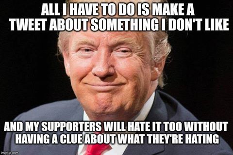 GoodGooblyDem's tweet photo. @whitetoast69 @KathMann1313 #cowardsblock like Kathleen because their news source is whatever Donald Trump thinks #blindlyfollowTrump https://t.co/XJ4QAWcpC7