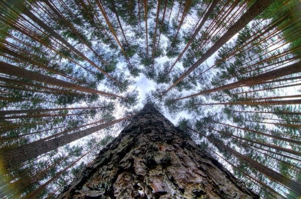 connect1492's tweet photo. Be with those who help your Being. ~Rumi https://t.co/L7ZFCteXph RT Pinar Akal @PinarAkal1 > #Being #Rmui #quote >