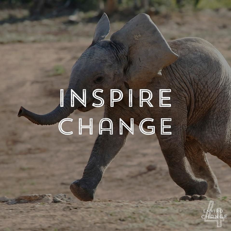 enviro4change's tweet photo. {Inspire Change} live sustainably | shop eco-friendly | give back | support ALL earth's inhabitants

#enviro4change… https://t.co/CHXSyYXQha