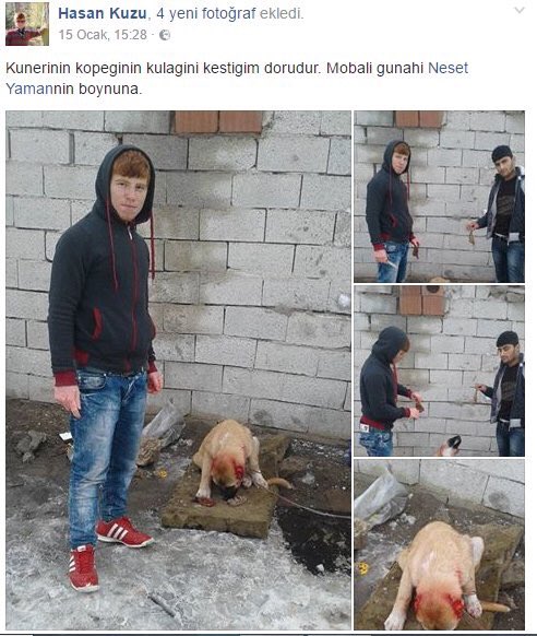Bu orospu çocuklarının reina katliamcısından hiç bir farkları yok