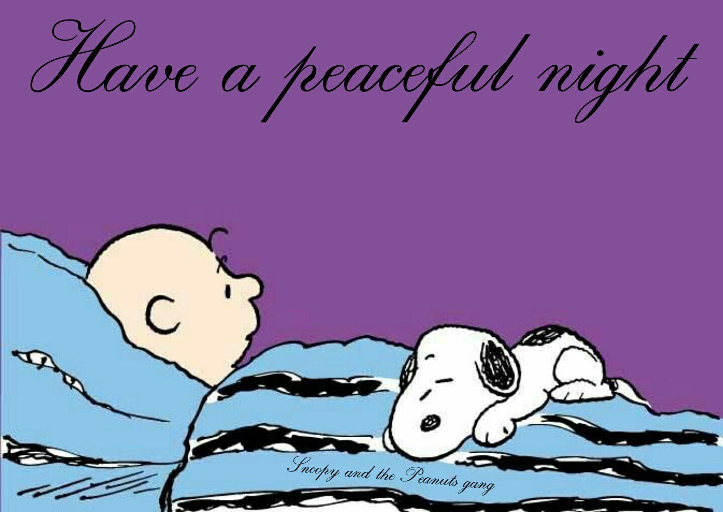 Charlie Brown Goodnight Everyone Charlie Brown Goodnight Everyone