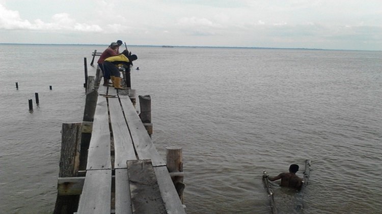 Kegiatan Gorong kelompok Nelayan Karya Bersama lihat disini
dompas.desa.id/kegiatan-goron…