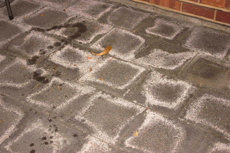 acewaterproof's tweet image. The best, most effective and DIY removal of efflorescence is here! @acewaterproof's Evo Salt Away: ow.ly/cZeC307jRAJ #acewaterproofing