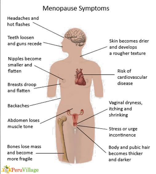 MacaPowderBenef's tweet photo. Maca for menopause
#Superfoods #MacaPowderBenefits #MacaRoot
Read more: https://t.co/KplRpIWlla https://t.co/erWuZv7YBy