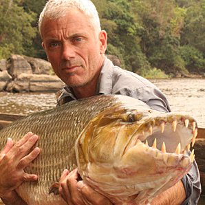 OuroborosSnyder's tweet photo. #JeremyWade holding the Goliath #Tigerfish he caught on #RiverMonsters, episode #DemonFish. #Fishing #CongoRiver ๐ฃ๐ https://t.co/Rf9d9MOvgO