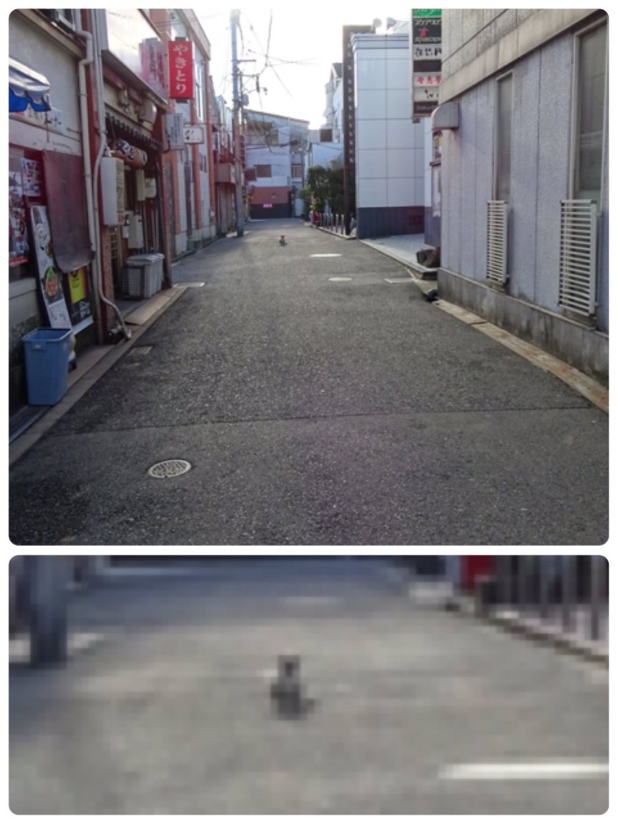 龍が如く旅。
これが今回の旅で発生したエンカウントになります。 