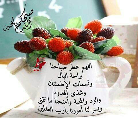 aoaoalanezi tweet picture