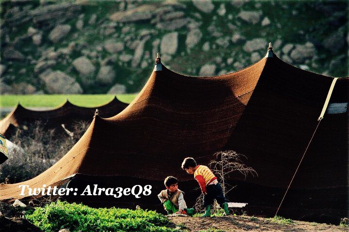 Alra3eQ8's tweet photo. #خواطر_الراعـي 
.. البساطه أعشقها وأكره التكليف !! 
ما أجمل الحياه ... بأن تُعاش بِبَساطتها ... https://t.co/9p6dJYwKKf