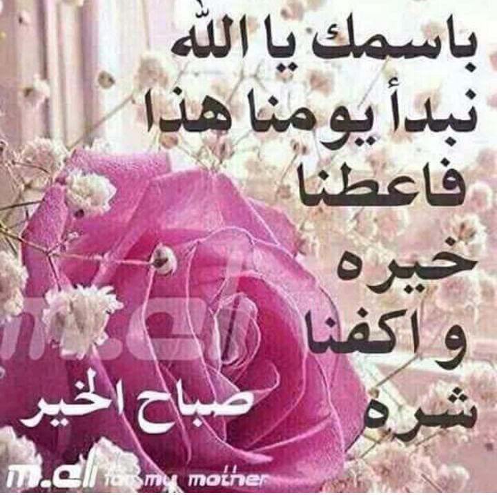 sajad (@amedali227) on Twitter photo 