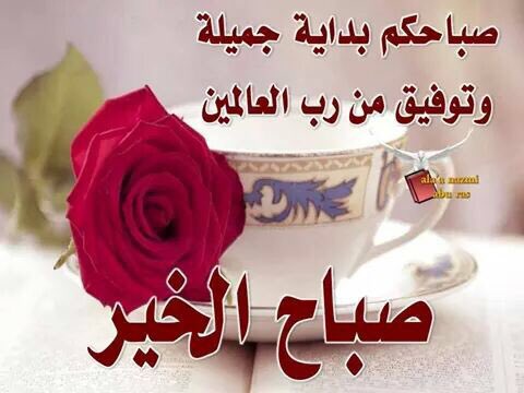 sajad (@amedali227) on Twitter photo 