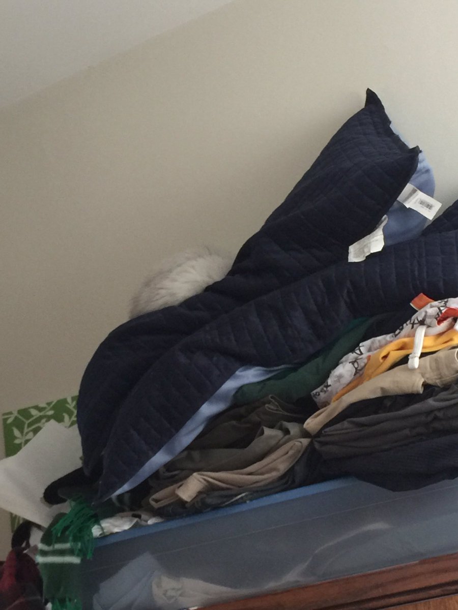 DinaJ's tweet image. #BestMessMonday Too many piles! (Somehow my cat decided to sleep on top of it all lol!)