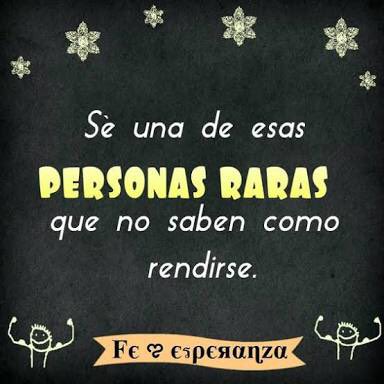 Isab3lMartinez tweet media