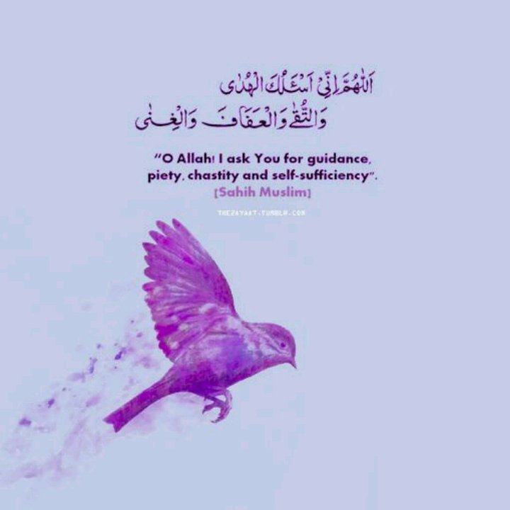 سمرونه فخامةكلهاذوق (@hanan_hg54) on Twitter photo 