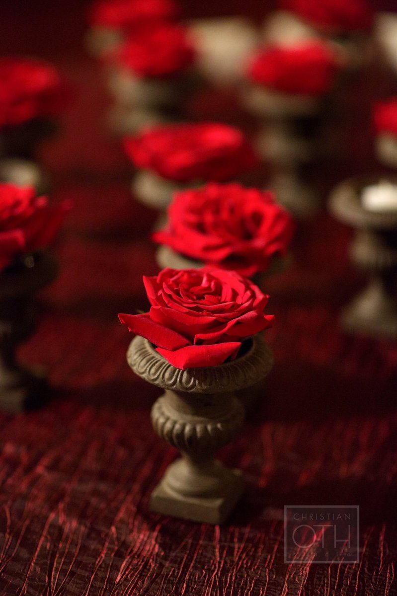 chandelierevent's tweet photo. Roses, Red. #chandelierevent #wedding https://t.co/PQO2FTQD7P