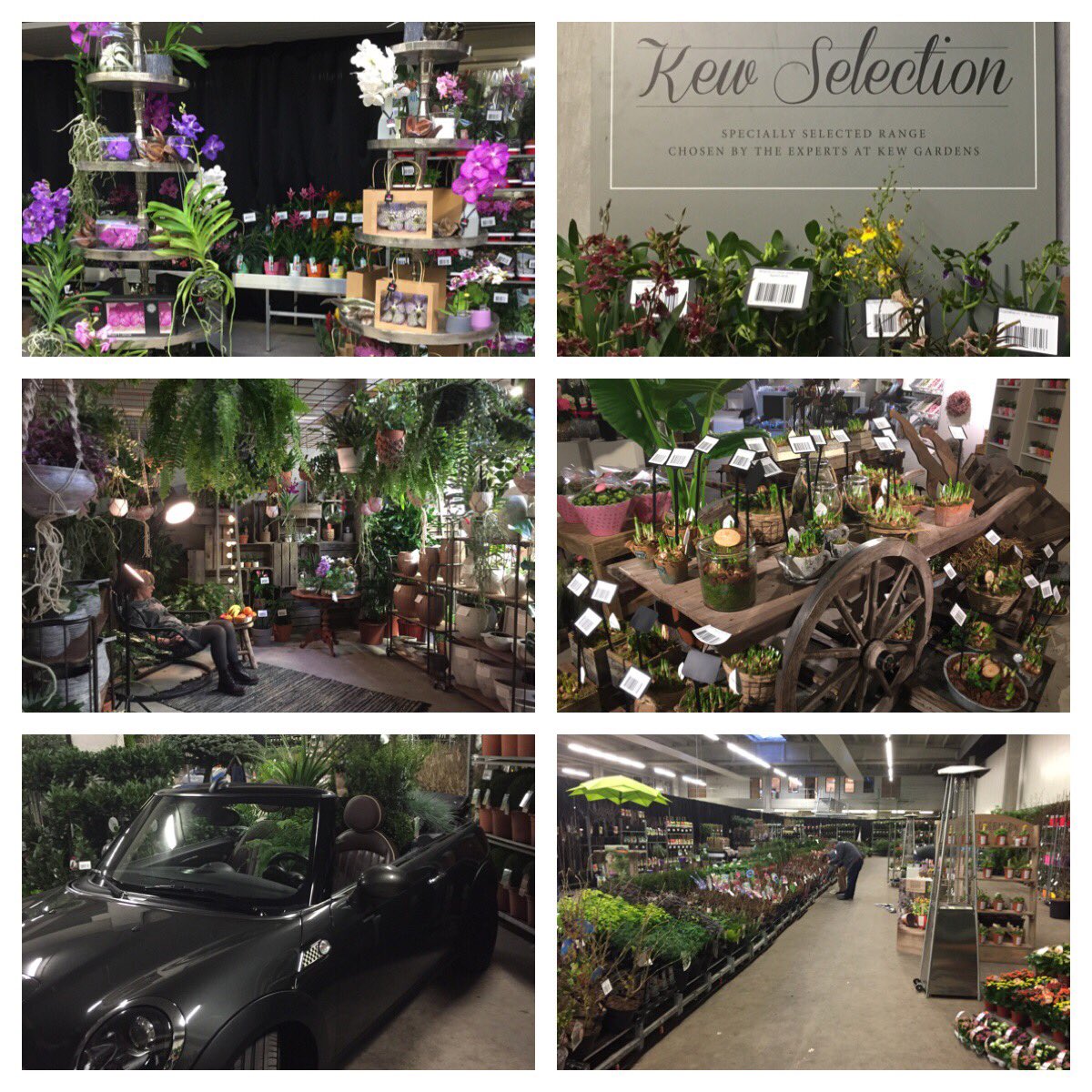 RomeoSommers's tweet photo. Ready for the GCF tradeshow today. #trendshow. Looking forward to it.   @Garden_CentreFr @E_den_Dekker @green_your_day https://t.co/WFf3E2YtWj