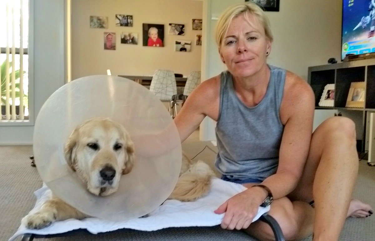 n_jpickard's tweet photo. A Nowra resident is campaigning for greater regulation of the boarding kennel industry.https://t.co/vY7huEPpMm @SCRegister @RSPCA https://t.co/s2My2P7ejZ