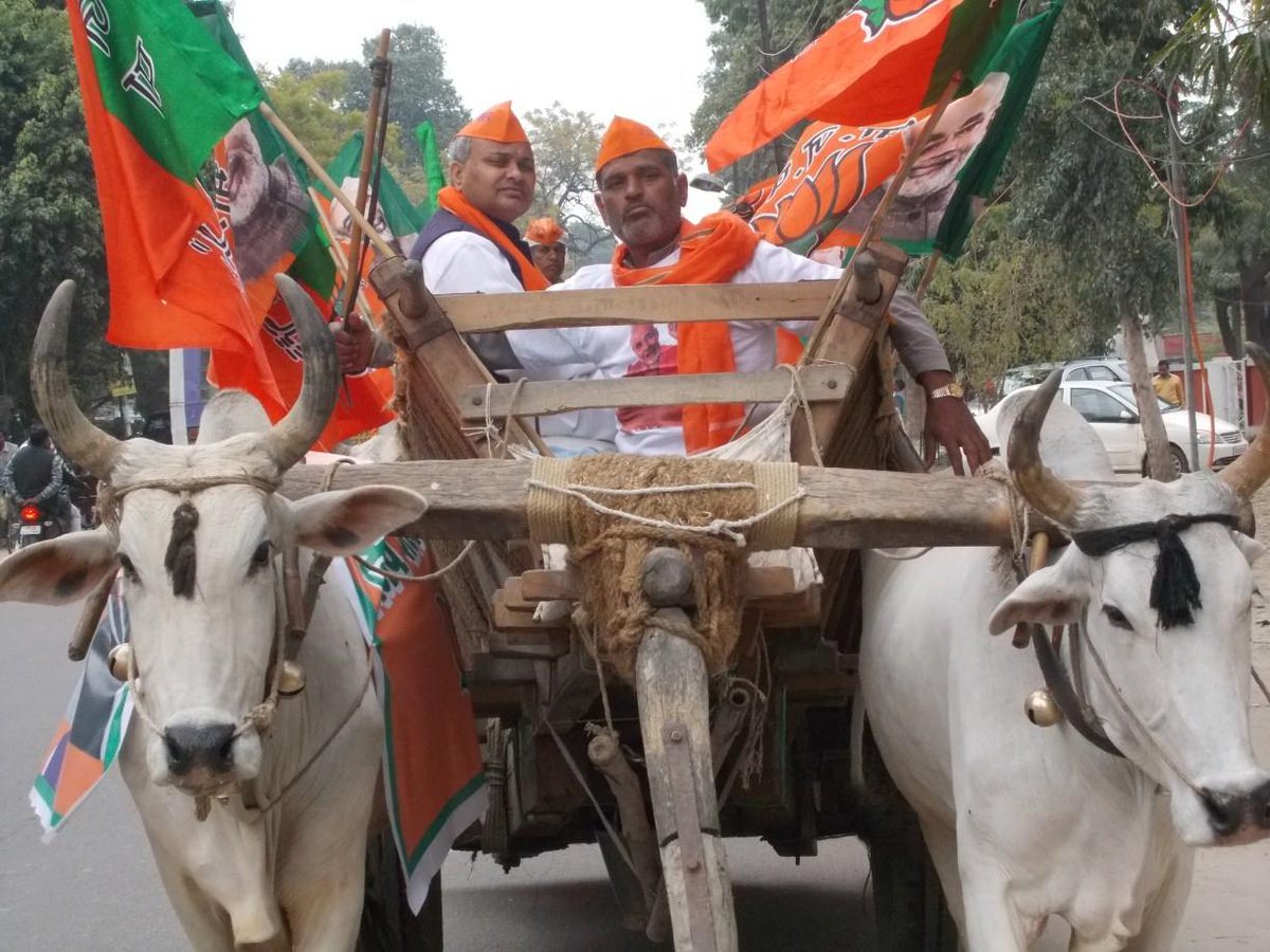Narendramedi's tweet photo. #dineshdubey4Sarojninagar @AmitShah @narendramodi @RajnathFans @MVenkaiahNaidu @VasundharaBJP @desh_dubey @ShahnawazBJP @shivprakashbjp https://t.co/80AgcLn6ON