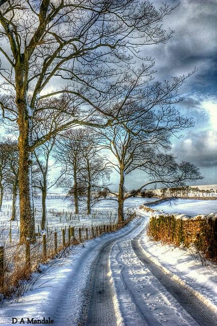 MarionSpekker's tweet photo. Good morning :-)) 
Twitterworld ❄💙💙❄ https://t.co/HuZDduwZEs
