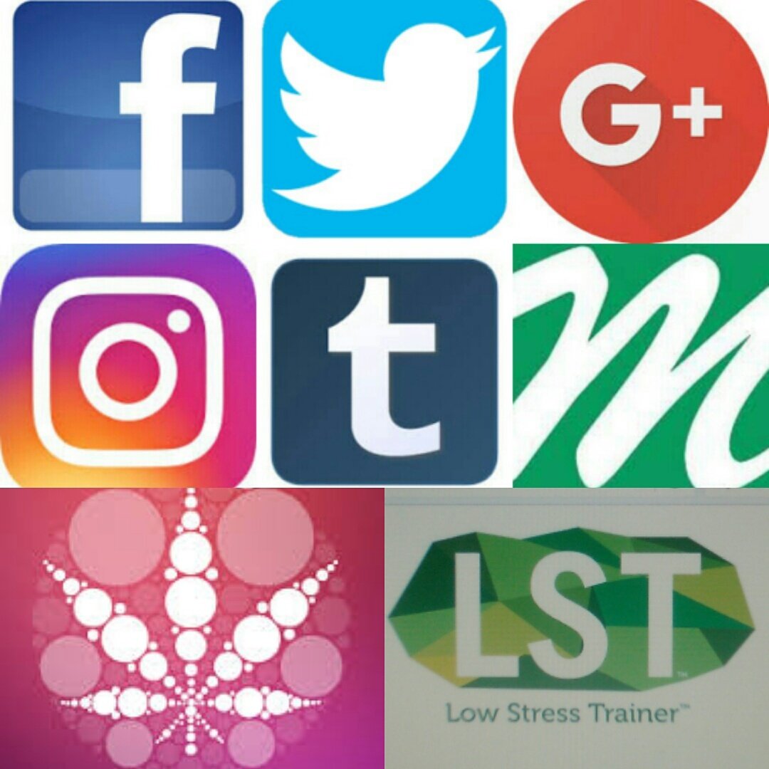 LowTrainer's tweet photo. Follow us @ #Facebook #Twitter #Google+ #Instagram #Tumblr #SocialHigh #MassRoots #LST #LowStressTrainer #Kits #Products #LowStressTraining https://t.co/SOXHNRKbQl