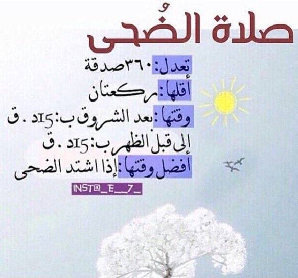 #صلاةالضحى
هي  استراحة القلب المتعب
وأمان الروح الخائفة وصدقة الجسد المثقل بالهموم

ضحاكم يامعشر الأوابين 💜

#سُنّة_مهجوره