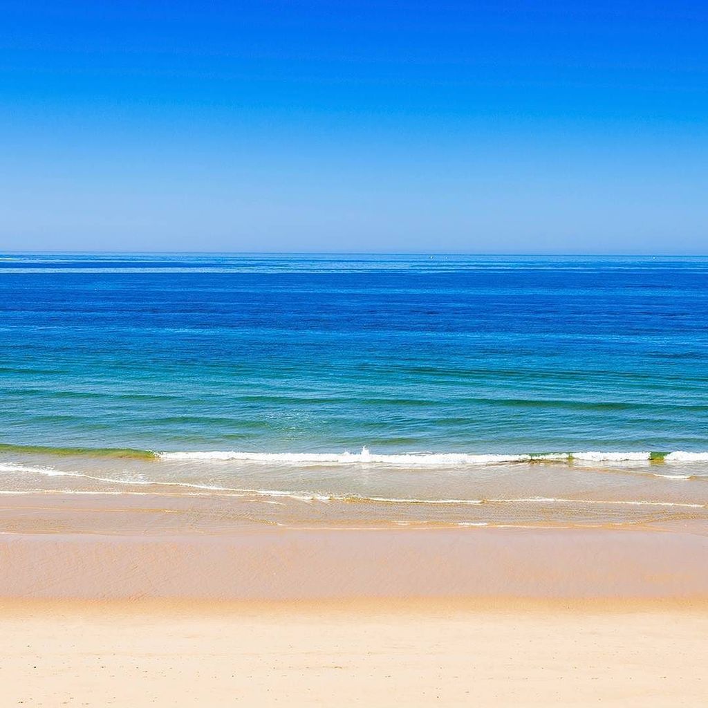 Apollo_Danmark's tweet photo. Ræk hånden op hvis du vil starte dagen til sommer her 🙋🙋 #Falesiastranden #Algarve #Portugal #apollorejser #apollod… https://t.co/Y6lxEqEsD6