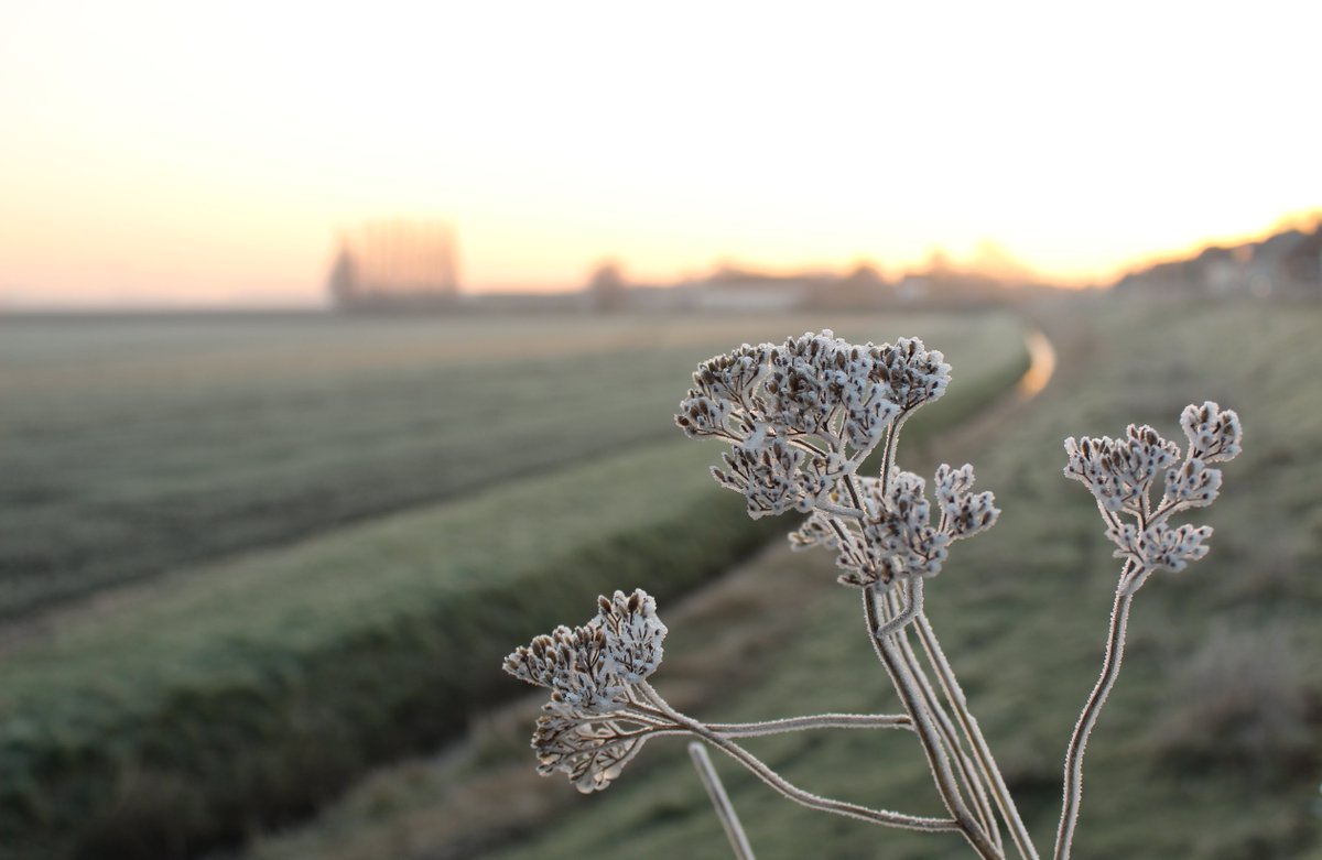 Moerdijkse_stem's tweet photo. Bekijk onze pagina uit de Moerdijkse Bode van deze week op: https://t.co/gE5sxkUL8A Met daarin een prachtige #fotovdweek #Moerdijk https://t.co/fTvJ6f33Ih