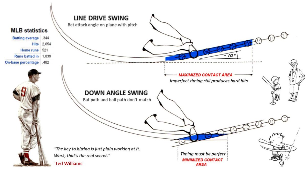 Shuttle Baseball on Twitter: 