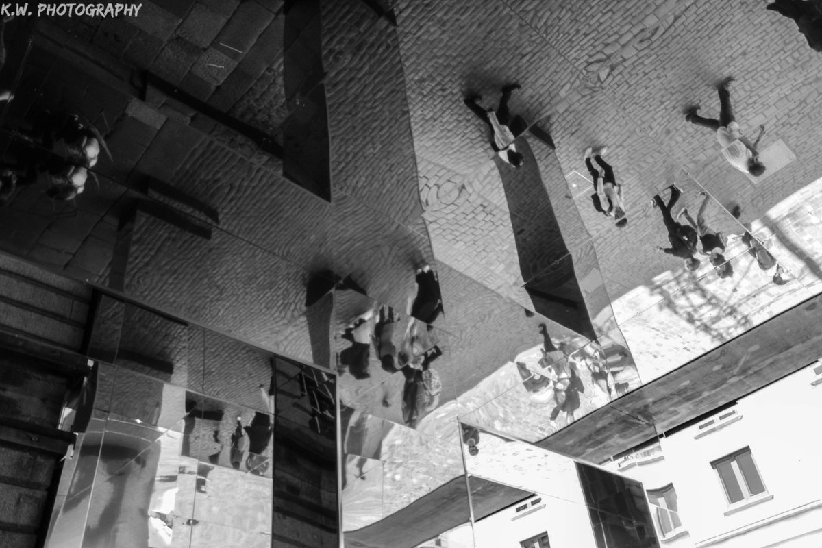 Kiwi Capture tweet media