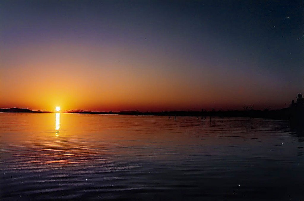 KaribaHouseboat's tweet photo. One of the most stunning views in the world. Sunset over Lake Kariba.
See https://t.co/OktkoD58Eo for more details
#kariba #karibahouseboats https://t.co/fVHfxceMEd