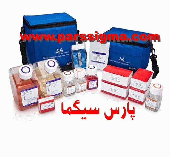 pars sigma (@parssigma) on Twitter photo 