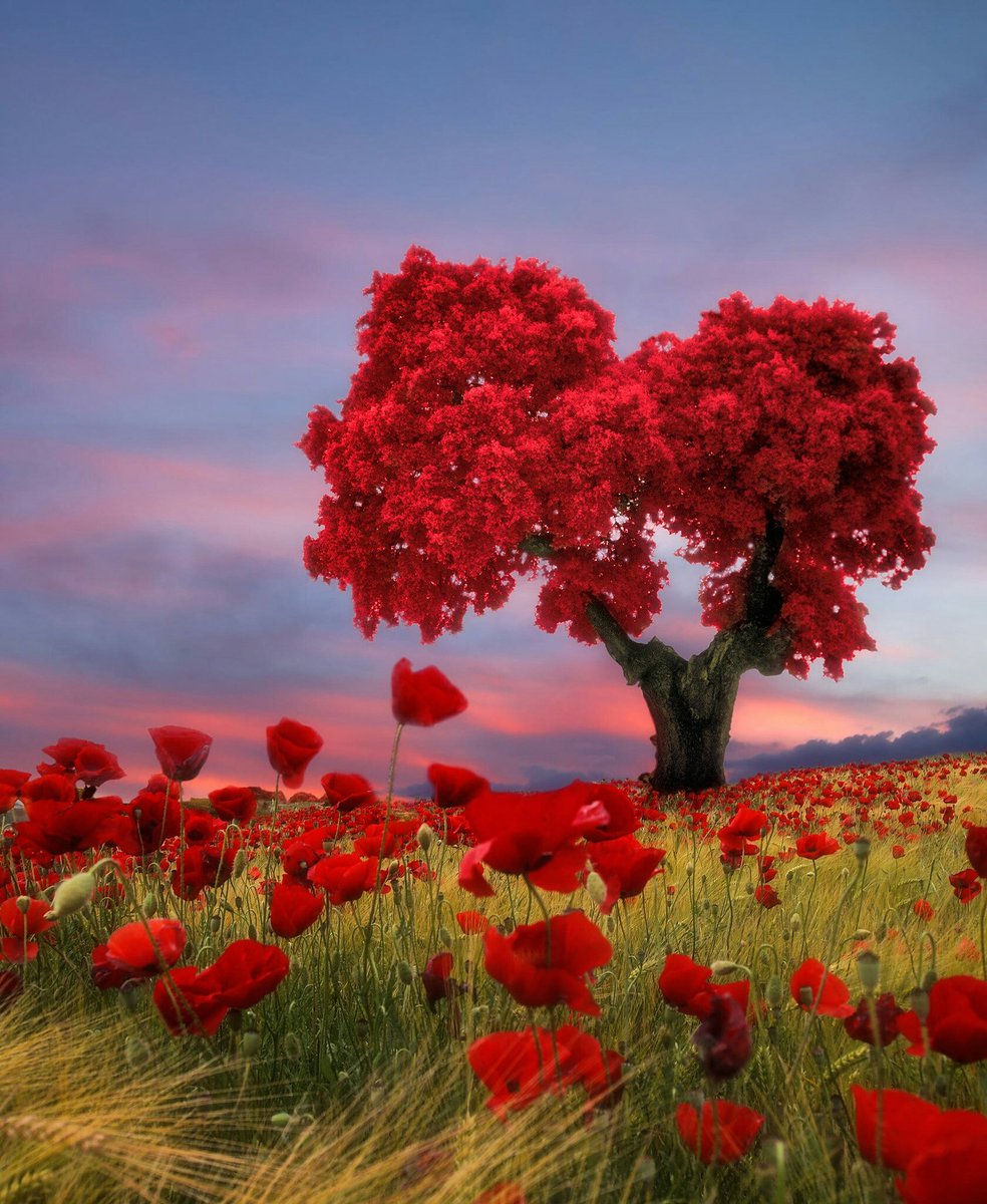 Ou_Prg's tweet photo. Summer time 😍😍😍 sigh
aguadophotography https://t.co/Gn64znWLmU