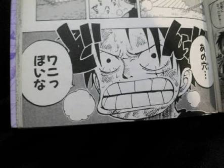 ワニっぽい ワニっぽい