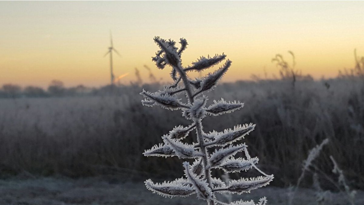 #Velen #Winter #Natur

Eine wunderschöne winterliche Stimmung in Velen.
tourismus-hohemark.de