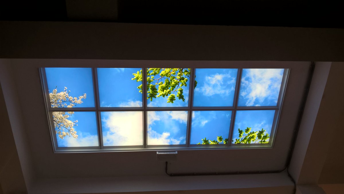 OpenCeilings's tweet photo. OpenCeilings @ Retail #retail #openceilings #interiordesign #interior #architecture #led #skyceiling #naturalenvironment #marketing https://t.co/aaw38Q9Zp9