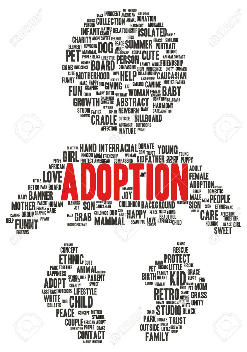 How long does the adoption process take?