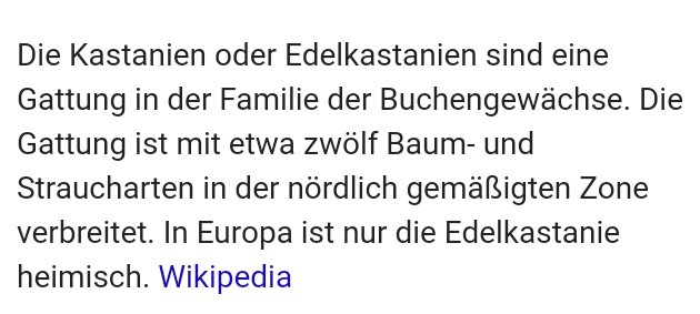 Timmiber's tweet photo. @PucciLP @Theodor_HD @TTADieDrei https://t.co/XOLSex10tX