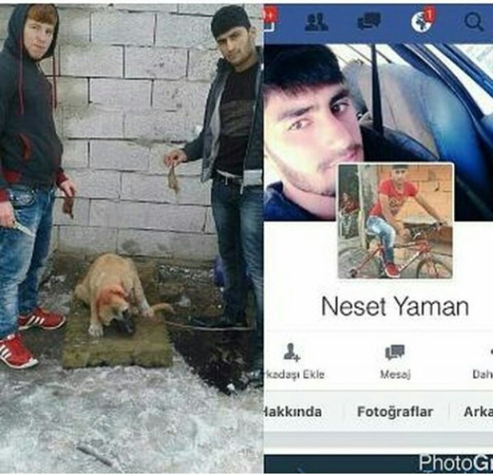 Hazan Kuzu ve Neşet Yaman. Bu iki orospu çocuğu köpeğin kulaklarını kesip işkence eden iki şerefsiz evladını bulmama yardımcı olurmusunuz?