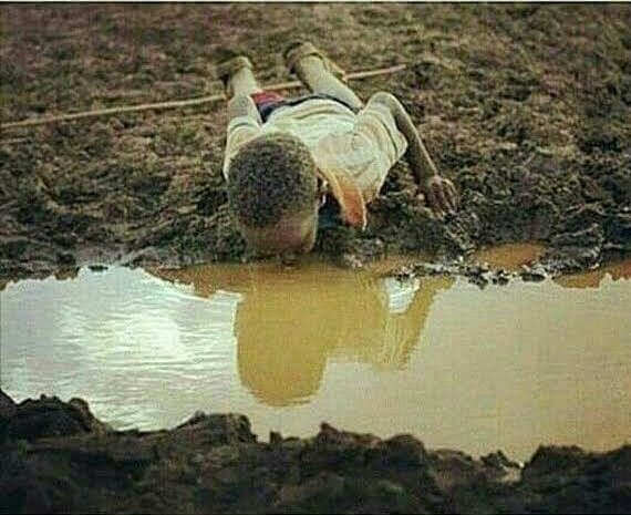 khasu_k's tweet photo. #PrivilegedKids will never be subjected to this cruel way of life. #PrivilegedKids https://t.co/bUN5LGodyW