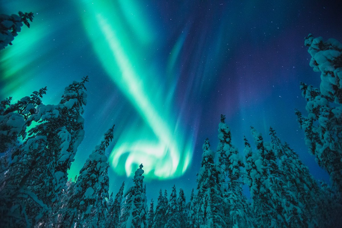 Passenger6A_IT's tweet photo. I migliori posti per vedere l'aurora boreale sono qui: https://t.co/yFlGb10bAV #top6a https://t.co/4Nz9vJtTaO