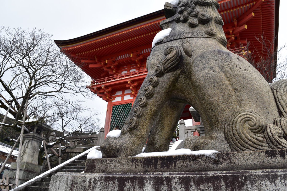 XabaC77's tweet photo. 清水寺
遠くのもの���ピンぼけするコツ(わかりにくくてすいません。)を誰か教えてください！
まだ全然カメラ使いこなせてないや......
#写真好きな人と繋がりたい 
#清水寺 #カメラ初心者 #一眼レフコツ https://t.co/oDAwBCi5dA