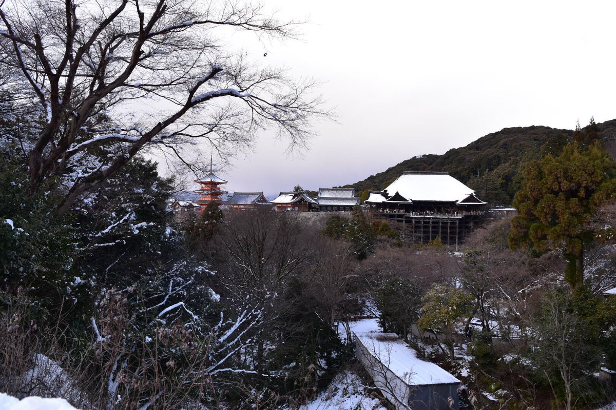 XabaC77's tweet photo. 清水寺
遠くのもの���ピンぼけするコツ(わかりにくくてすいません。)を誰か教えてください！
まだ全然カメラ使いこなせてないや......
#写真好きな人と繋がりたい 
#清水寺 #カメラ初心者 #一眼レフコツ https://t.co/oDAwBCi5dA