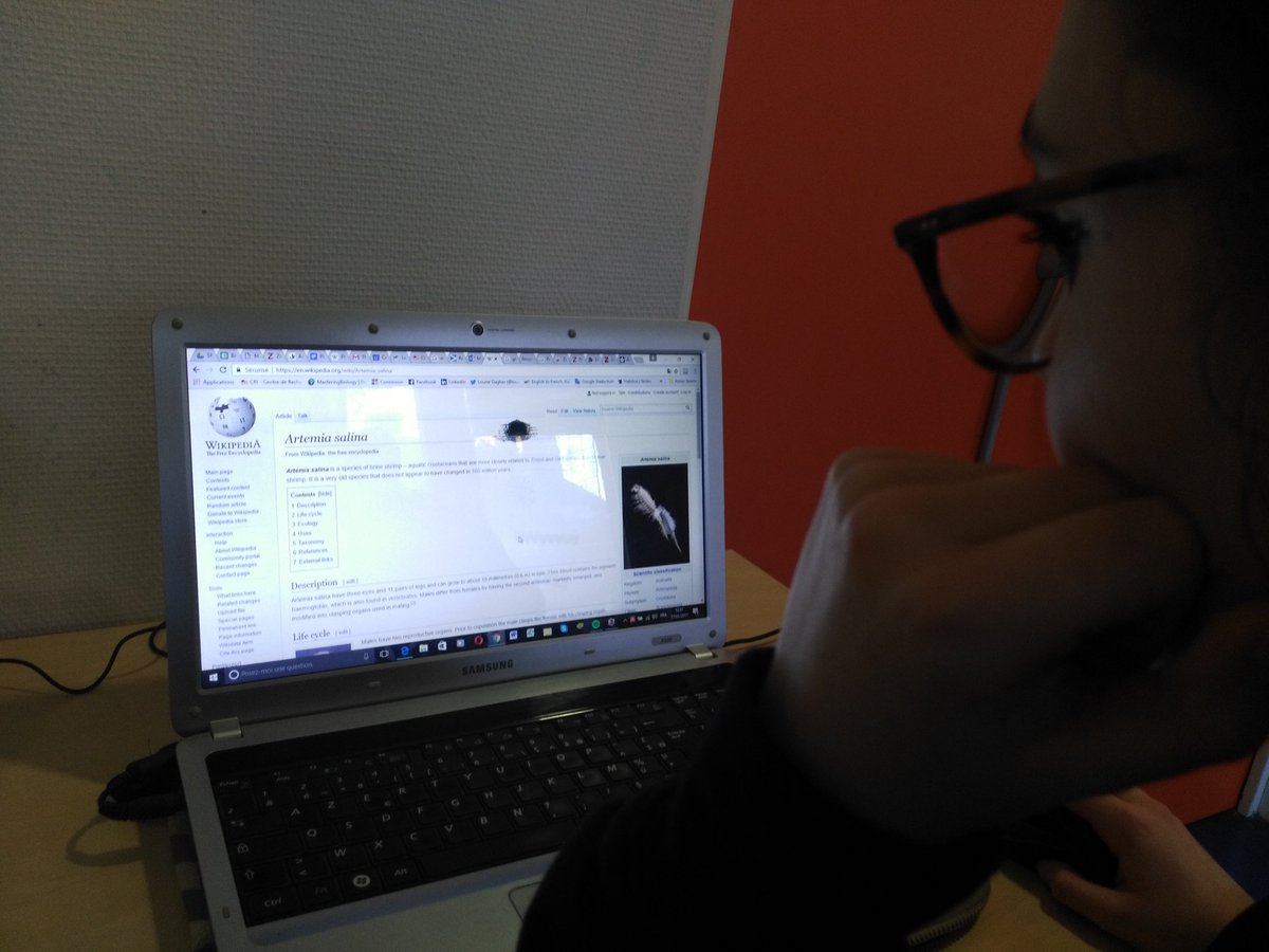 Les Duplicates tweet media