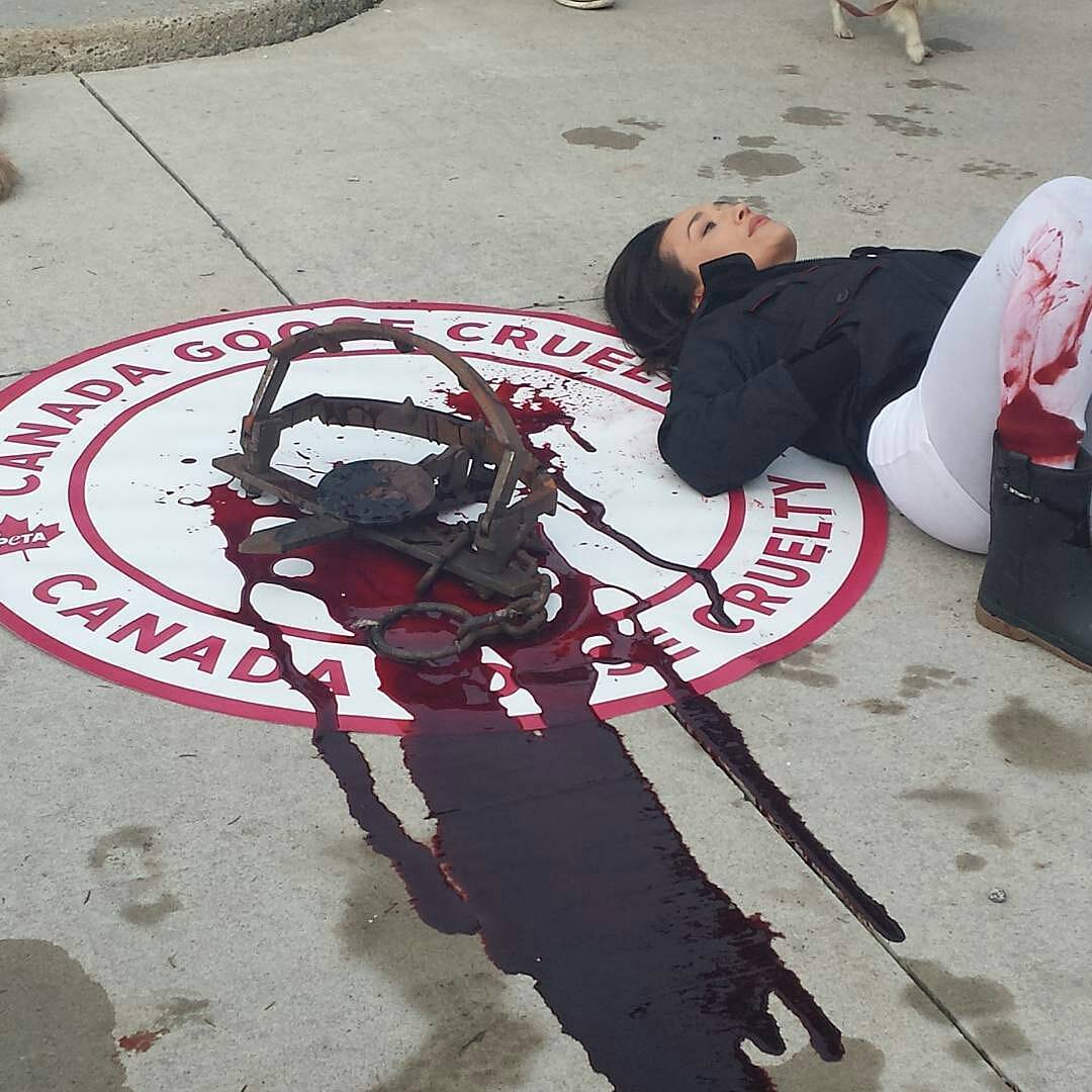 FlawlessMQ's tweet photo. . @MaggieQ &amp; PETA Protest at Canada Goose Headquarters in Toronto. More photos here: https://t.co/ZAuaLIdxcD https://t.co/ymeonvVhDV