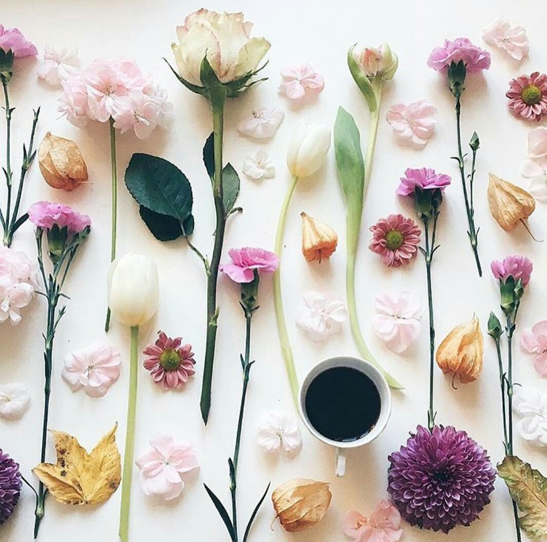 nikiool's tweet photo. #Tea lover! What about you? 
https://t.co/fvzl9Z26Nz

#EarlyBreakfast #TuesdayTip #mornings #happypeople #yolo #flowers https://t.co/nCsn8n5gtQ