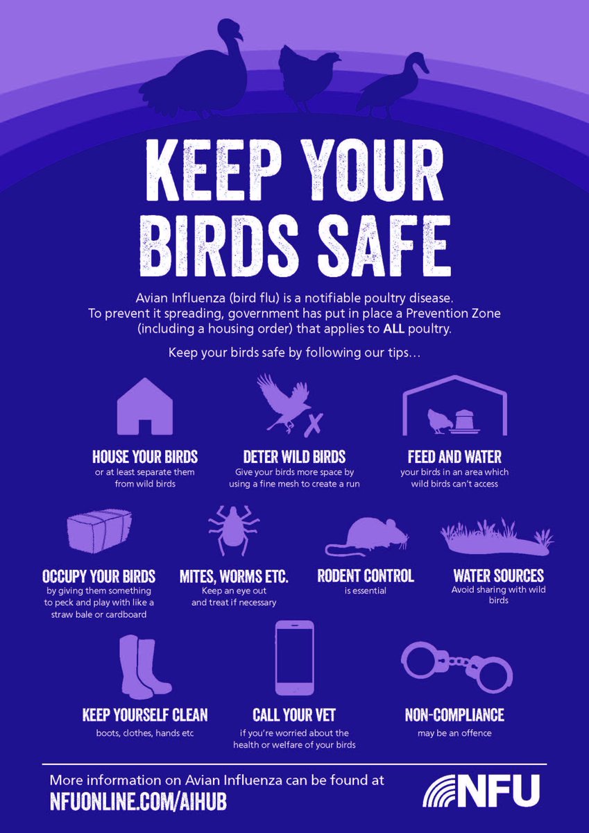 WynnstayGroup's tweet photo. Some great, simple tips on how to prevent the spread of Avian Influenza from @NFUCymru #birdflu #poultrytalk https://t.co/lpApDrb7xa