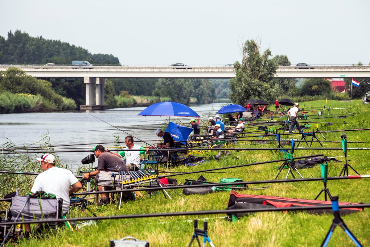 ncffi's tweet photo. Gallery of images from 2016 European Championships, Lage Vaart Canal, Holland https://t.co/q3jdB2j54q #FIPSed https://t.co/tWJIwUOfQD