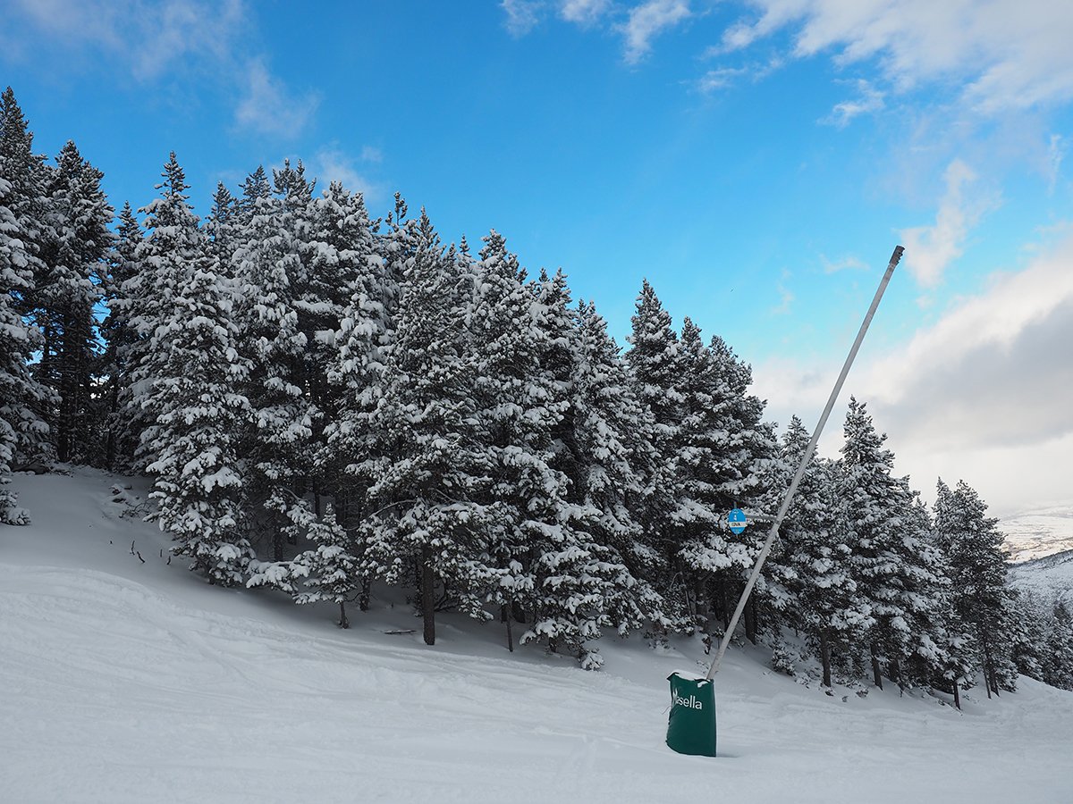 MasellaPirineu's tweet photo. Bondia! La nevada d'ahir ens permetrà obrir el 100% dl domini! Ara mateix, tot obert excepte cotes altes, tancades x vent. #masella #neupols https://t.co/HFZDFkHPJY