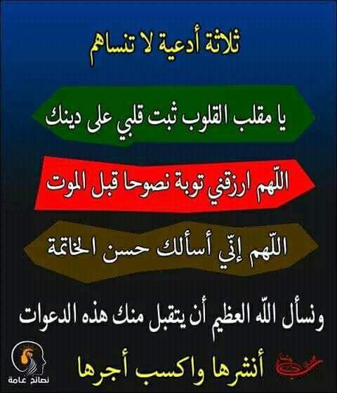 عراق (@81427989c8a445c) on Twitter photo 