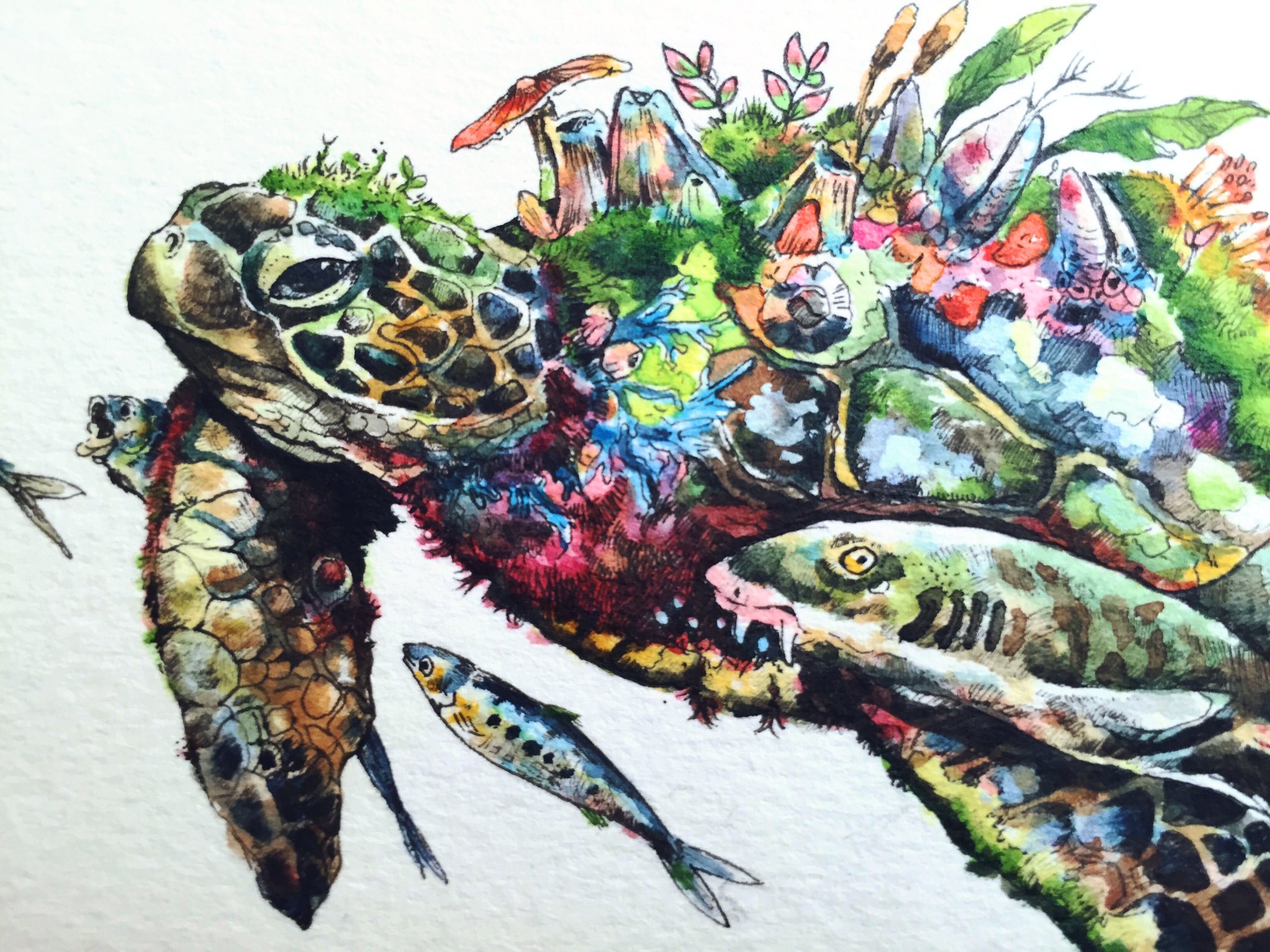 絵（原画） 絵画】「浅い海の生き物」 リアルイラストレーション 真作