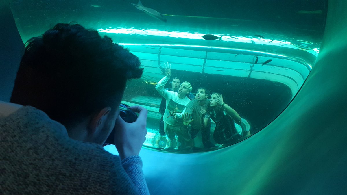 Auf Tauchstation mit <a href="/bilderbuchmusik/">BILDERBUCH</a> .. in genau einem Monat erscheint ihr neues #Album #MagicLife und unsere neue Ausgabe #VOLUME61!